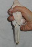 post-18015-1326122613_thumb.jpg