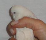 post-18015-1326122631_thumb.jpg