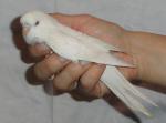 post-18015-1326122642_thumb.jpg