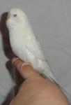 post-18015-1326122666_thumb.jpg
