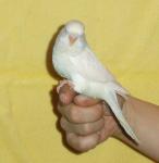 post-18015-1326122756_thumb.jpg