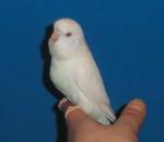post-18015-1326122812_thumb.jpg