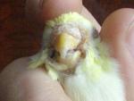 post-18020-1237879919_thumb.jpg