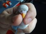 post-18071-1268047318_thumb.jpg