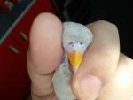 post-18071-1268047412_thumb.jpg