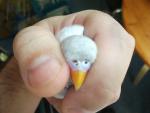 post-18071-1268047540_thumb.jpg
