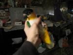 post-1810-1238488325_thumb.jpg