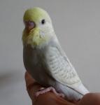post-18208-1362562488_thumb.jpg