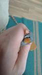post-18389-1456141144_thumb.jpg