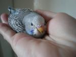 post-18399-1265527589_thumb.jpg