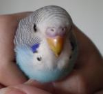 post-18399-1266591723_thumb.jpg