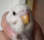 post-18399-1266591730_thumb.jpg
