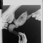 post-18469-1438883094_thumb.jpg