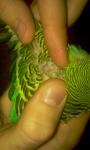 post-18570-1393162415_thumb.jpg