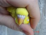 post-18807-1271930012_thumb.jpg