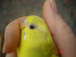 post-18807-1271937851_thumb.jpg