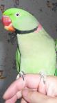 12____2012.JPG