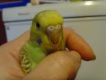 post-19334-1258895905_thumb.jpg