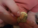 post-19398-1420821318_thumb.jpg