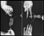 post-19617-1454957750_thumb.jpg