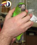 post-19638-1388853626_thumb.jpg