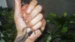 post-19736-1312562100_thumb.jpg