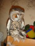 post-20082-1257539464_thumb.jpg
