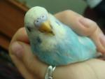 post-20217-1267936962_thumb.jpg