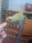 post-20405-1242556653_thumb.jpg