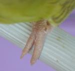 post-20571-1266755975_thumb.jpg