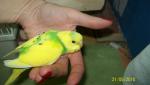 post-20651-1288719282_thumb.jpg