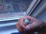 post-21388-1280153668_thumb.jpg