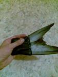 post-21388-1315293224_thumb.jpg