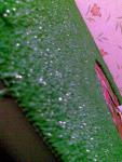 post-21388-1315337720_thumb.jpg