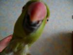 post-21626-1332569120_thumb.jpg
