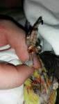 post-21892-1419584070_thumb.jpg