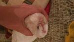 post-22199-1477236974_thumb.jpg