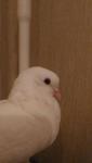 post-22199-1480360956_thumb.jpg