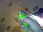 post-22492-1263971359_thumb.jpg