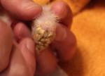 post-22508-1357309509_thumb.jpg
