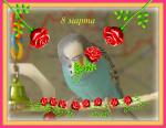 post-22639-1268032863_thumb.jpg