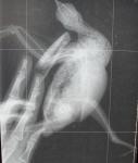 post-22687-1469686824_thumb.jpg