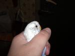 post-22778-1276892384_thumb.jpg