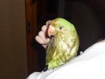 post-22837-1257330539_thumb.jpg