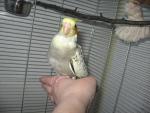 post-23283-1263576777_thumb.jpg