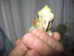 post-23283-1263576794_thumb.jpg