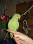 post-23294-1260024079_thumb.jpg
