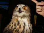 DSC07058.JPG
