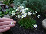 DSC07600.JPG