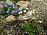DSC07605.JPG